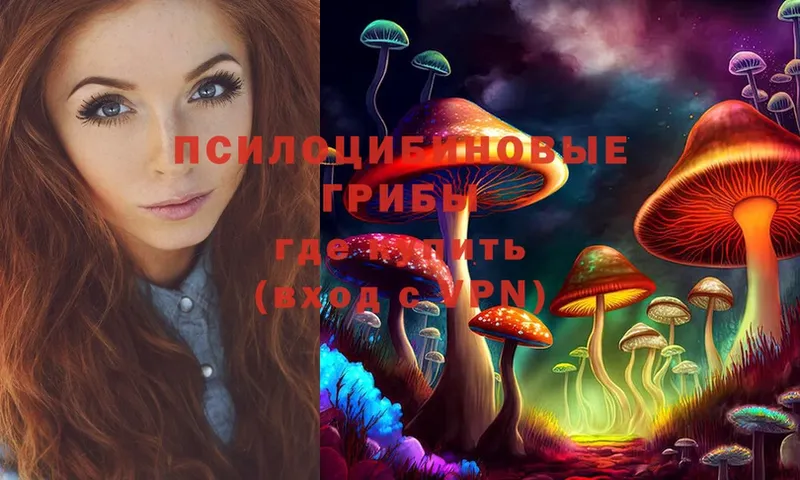 Псилоцибиновые грибы Magic Shrooms  где найти   Дедовск 