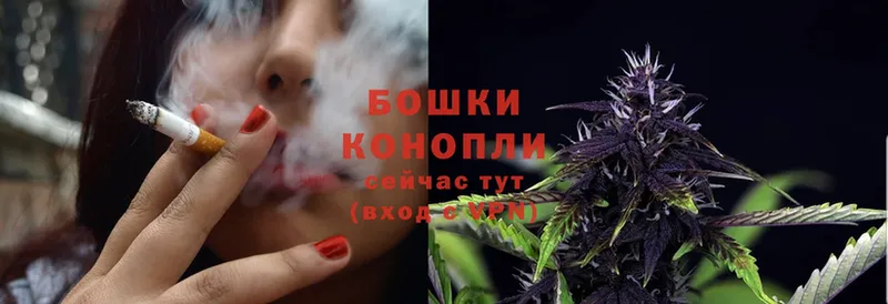 Конопля OG Kush  Дедовск 